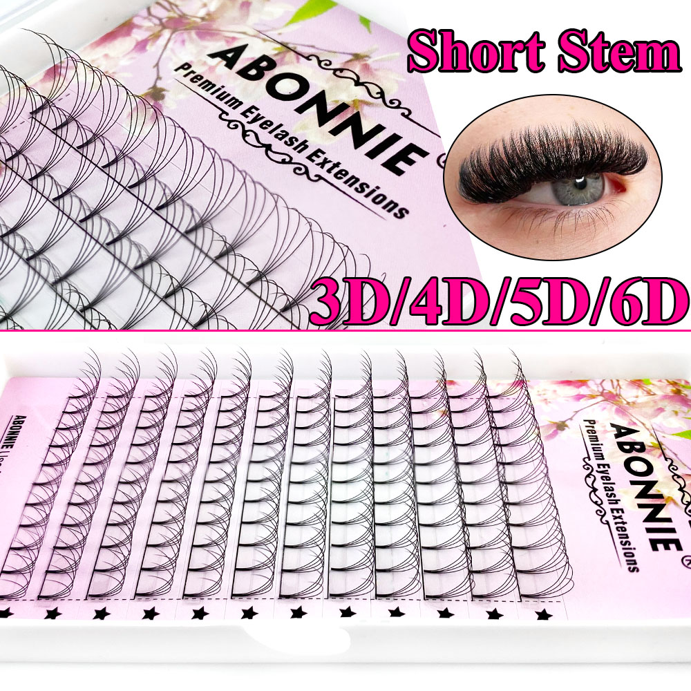 Abonnie 6D Narrow Fan Premade  - Eyelash Extension Russian recension och pris